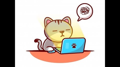 G11 First midterm revision