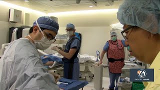 Mayo Clinic researches stem cells for spinal cord injuries