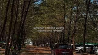 Lamunan x Tresno Liyane ( reverb   slowed )||mmzzi3