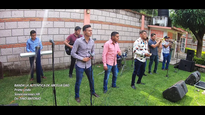 PRIETA LINDA BANDA LA AUTENTICA DE ARCELIA GRO.