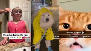 THE FUNNIEST TIK TOK MEMES OF April 2024 #01 Try Not To LAUGH