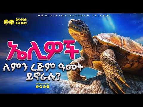 ለምን ይመስላችኋል_ ኤሊዎች ለምን ረጅም ዓመት ይኖራሉ _Ye Ethiopia Lijoch TV | አስገራሚ እውነታዎች|Asgerami Ewnetawoch/