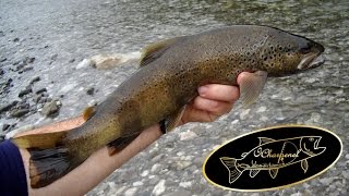 Une sortie de pêche dans la Haute Savoie, avec mon pote Luciano