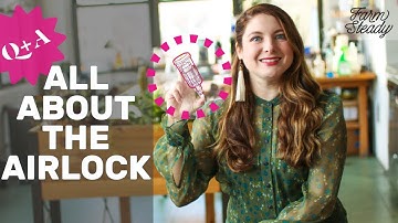 Q+A: All About the Airlock