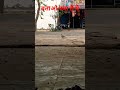 #shortvideo
