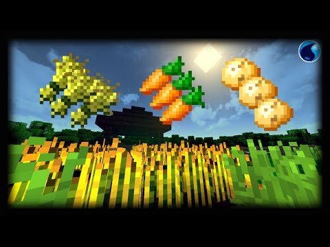 Video: Cách Gieo Hạt Trong Minecraft