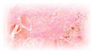 Experimental Abstract using Max for Live - Music Video
