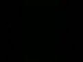 صوت زورو الفخم 