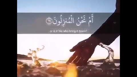 القرآن الكريم | أفرأيتم الماء الذي تشربون | سورة الواقعة