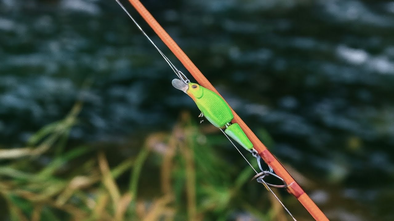 관절이 있는 미노우로 계류 무지개송어 낚시 즐기기