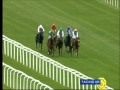 Totesportcom greenham stakes newbury 2011