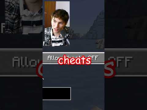 How to Change Your Gamemode in Minecraft (1.20.4)