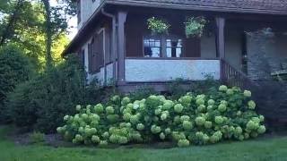 Cottage at the Biltmore Estate - Part 4