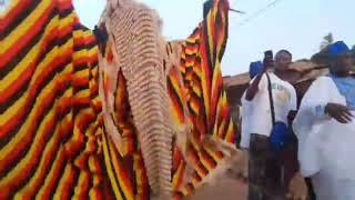 Expensive Young Rising Lungi 
