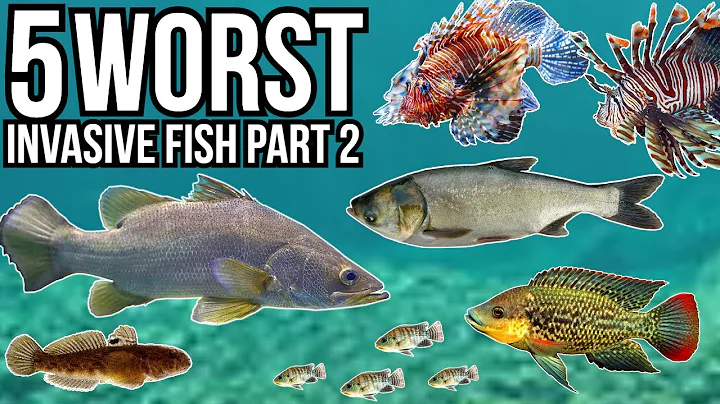 5 Worst Invasive Fish Part 2