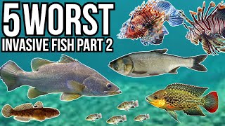 5 Worst Invasive Fish Part 2