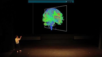 Neurology & Me | Brain Imaging After Stroke |  Dr. Holly Rossiter