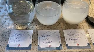 Hard Soft Water Castille Soap Experiment