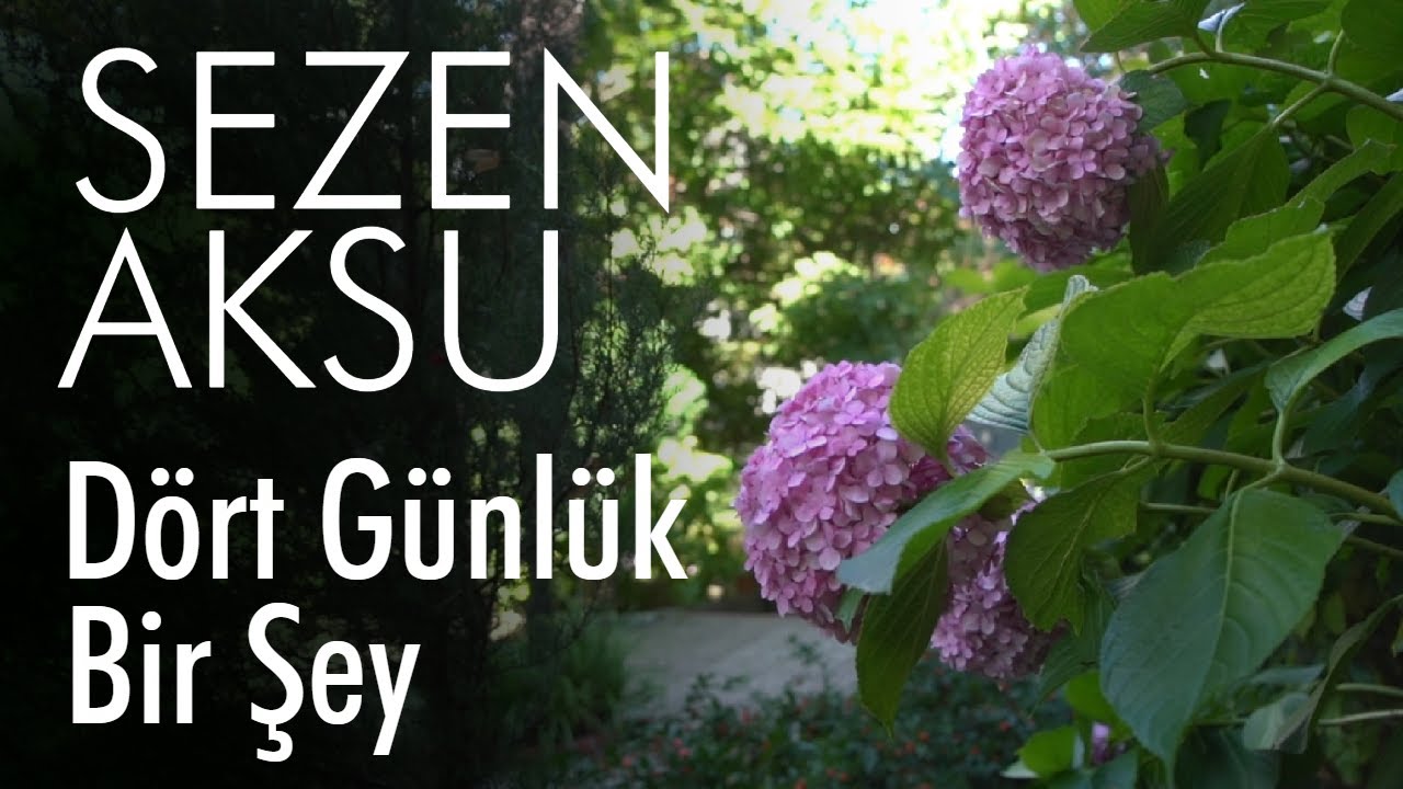 bilsen sensiz nasıl yaşıyorum sözleri