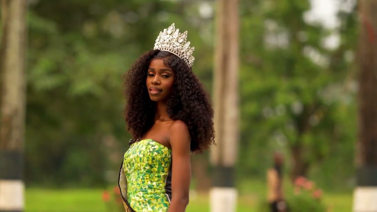 Miss Intercontinental Nigeria 2025 - Dwelling Chisaoku Emesiobi
