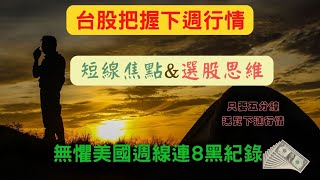 台股解盤不用5分鐘｜下週迎接反彈行情｜本土資金挺台股之選股邏輯思維｜無懼美國週線連８黑