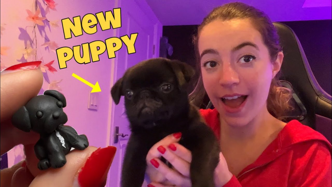 Making My Puppy with My Puppy Polymer Clay YouTube