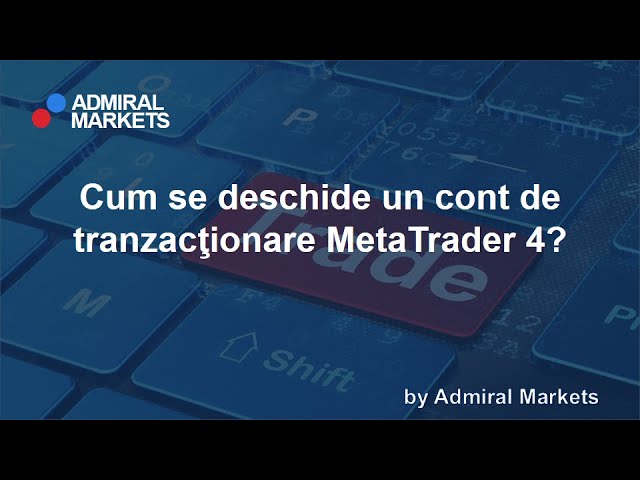 opțiunea de opțiuni de companie privată metatrader 4 tranzacționare în valută pentru manechine