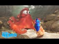 Finding Dory | Blijven Zwemmen | Disney NL