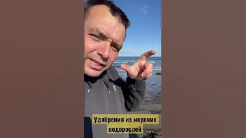 Удобрение из морских водорослей. Морская капуста
