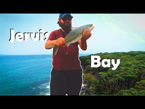 Gay jervis bay