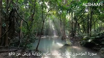 محمد سايد - سورة المؤمنون |023| MOHAMED SAYED - SURAT AL MOEMINON