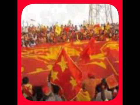 اجمل م قاله الشوالي في المريخ استديوهات احمد فتحي