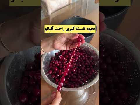 هسته گیری راحت آلبالو