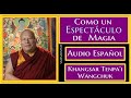 💢COMO UN ESPECTACULO DE MAGIA💥AUDIO ESPAÑOL💥Ven.Khangsar Tenpa’i Wangchuk