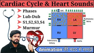 Cardiac Cycle क्या होती है? || Phases || Heart sound in Hindi || Murmurs क्या होता है?