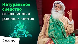 Как все время быть бодрым и энергичным и не засыпать на ходу?