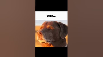 3 in 1 spot😭 #syncdouki #gaming #cod #codm #callofdutymobile #shorts #meme #pov #funny