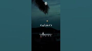 ما أروع هذا المقطع للقارئ محمود على شميس 👍🙏