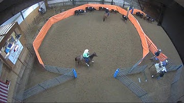 Big Sky Ranch Sorting Saddle Series #2 - #8 Ranch Hand H/C - Round #1 - Ride #15