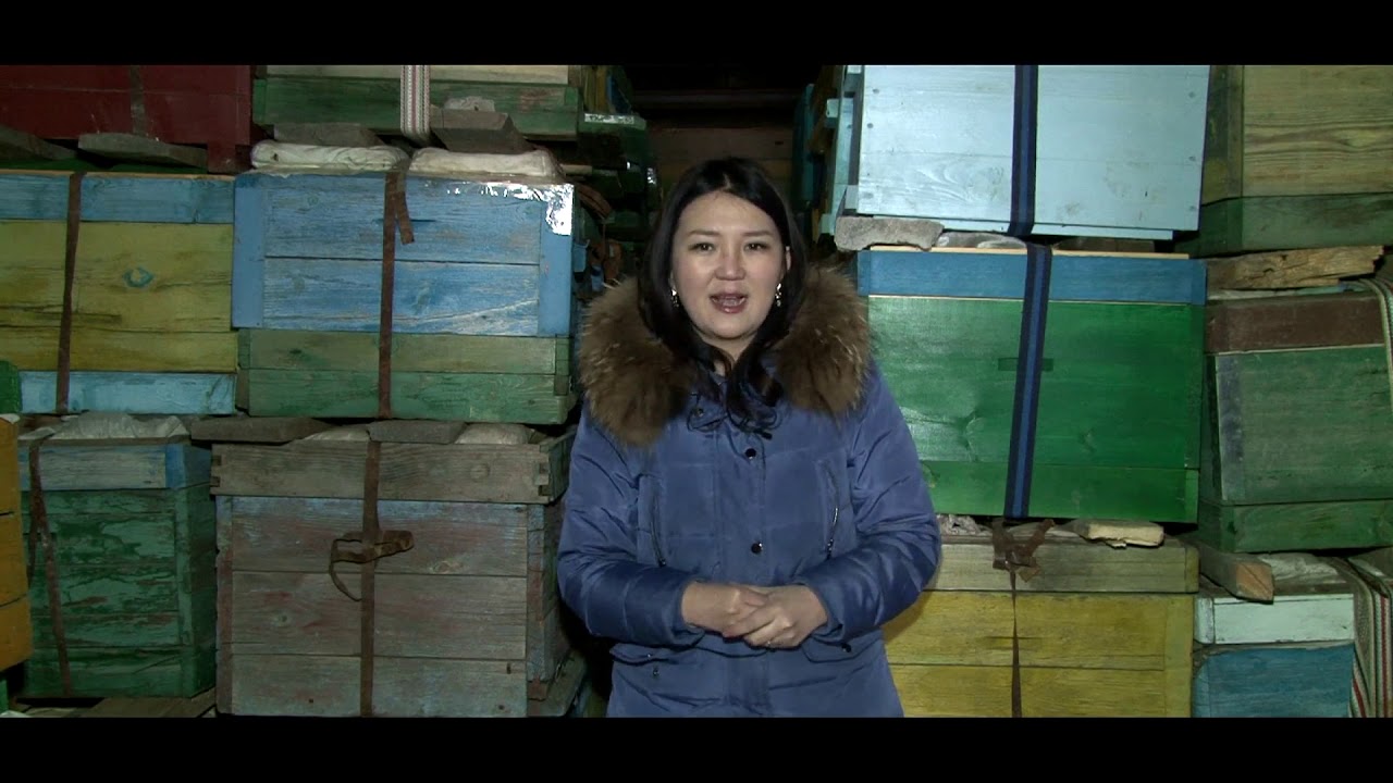 СЭЛЭНГЭ АЙМАГ ХАТАН ЗӨГИЙ БҮЛ