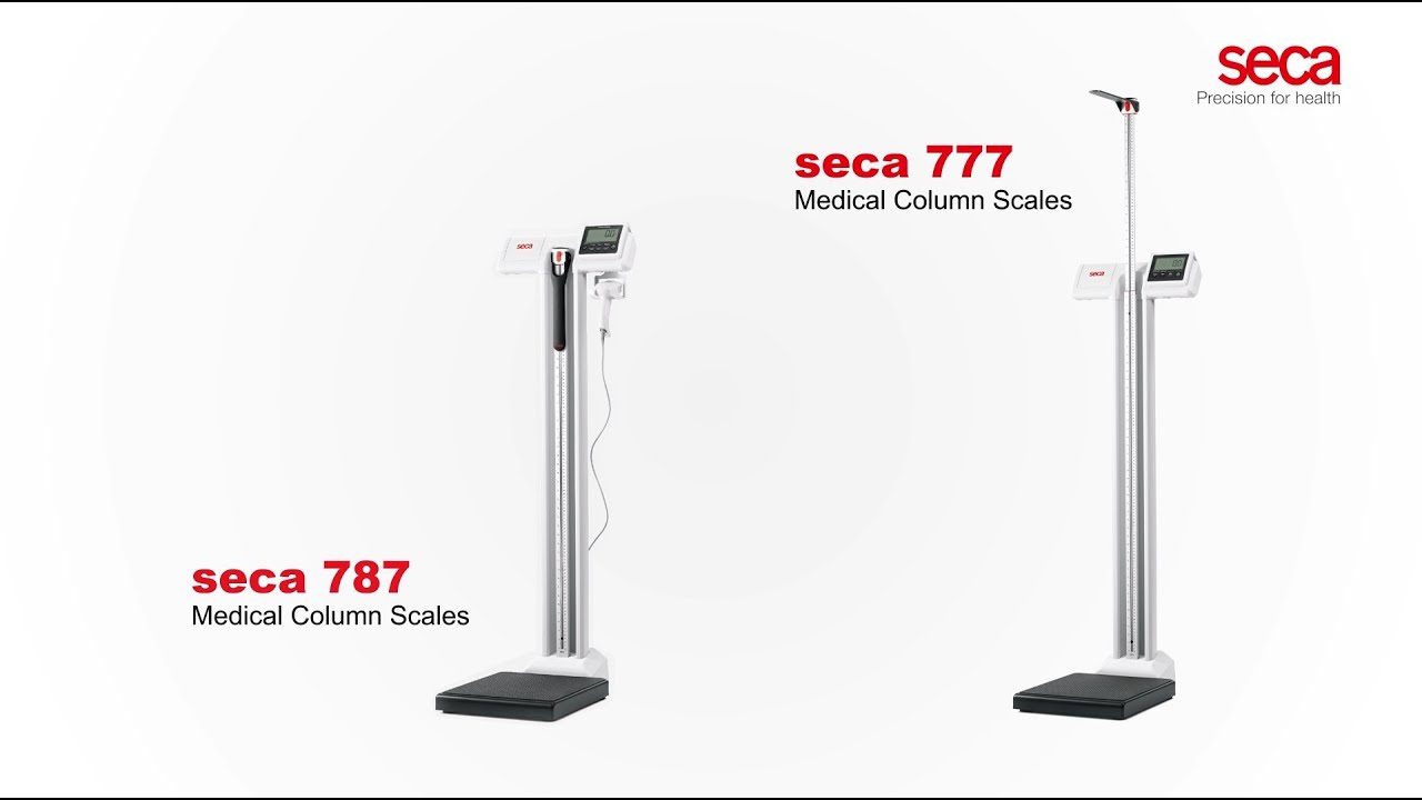 Seca 787 Medical Column Scales