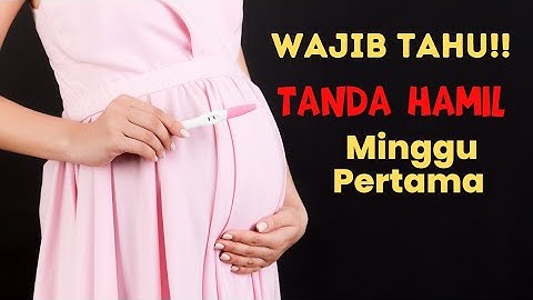 Berapa porsi nasi yang dianjurkan untuk ibu hamil trimester 2?