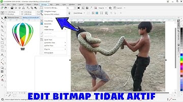 atasi edit bitmap tidak aktif di coreldraw 2020 error