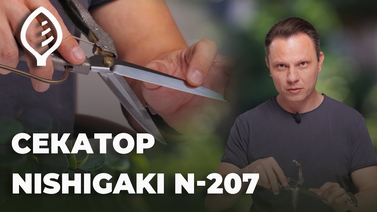 Секатор Nishigaki N-207 типу ножиці для бонсаїв (Нішігакі N-207