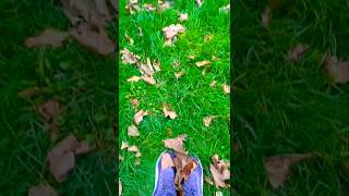 Pyaar ka pehela khat..#London #ghazal #jagjitsingh #uk #shorts #shortvideo #buckinghampalace