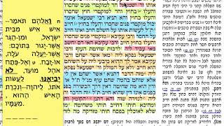 הדף יומי- זבחים קז 107  ראשון י״ז אב  תשע״ח