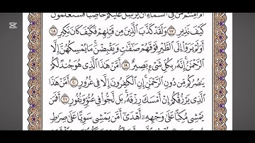 سورة الملك من 18 الى 22🤍