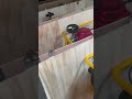 NZM-7.6 RAIL GRINDING MACHINE