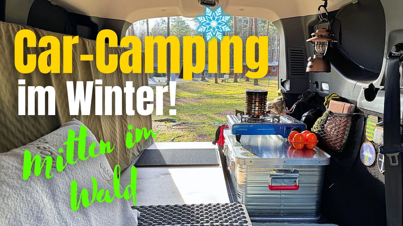 Mit dem Dacia Jogger im Wald übernachten 🌲🌳🌲