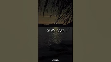 وَأَسِرُّوا قَوْلَكُمْ أَوِ اجْهَرُوا بِهِ ۖ إِنَّهُ عَلِيمٌ بِذَاتِ الصُّدُورِ #القارئ_محمد_اسبيعان